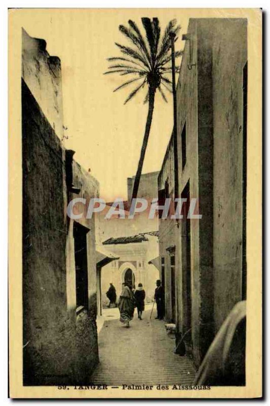 Old Postcard Tangier Palm of Aissaouas