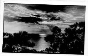RPPC Torrey Pines Sunset, Ocean View, San Diego CA Vintage Postcard G01