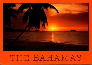 Bahamas Freeport Beautiful Sunset