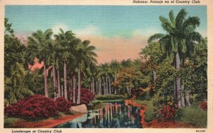 Vintage Postcard Paisaje En El. Country Club Recreational Place Havana Cuba