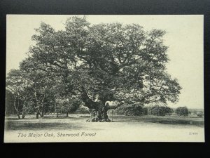 Nottinghamshire SHERWOOD FOREST The Major Oak c1905 Postcard by Valentine 22481