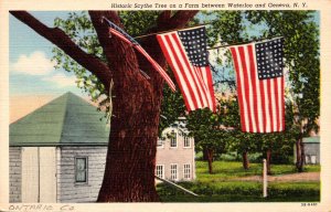 New York Historic Scythe Tree On A Farm Between Waterloo and Geneva Curteich