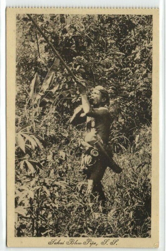 malay malaysia, Native Sakai Male Hunting with Blowpipe (1910s) Postcard 