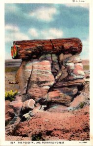 Arizona Petrified Forest The Pedestal Log Curteich