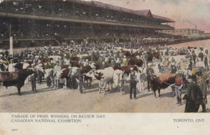 TORONTO , Ontario , Canada , 1908; Parade of Prize Winners, On Review Day, CNE