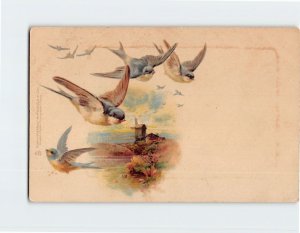 Postcard Greeting Card with Birds Art Print
