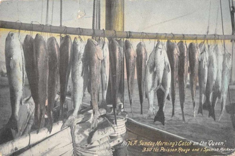 Sunday Morning Catch Fishing Poisson Rouge Spanish Mackerel Postcard JJ658773