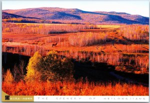 VINTAGE CHINA ILLUSTRATED MAXIMUM POSTCARD HELONGJIANG SCENERY XING'AN MOUNTAINS