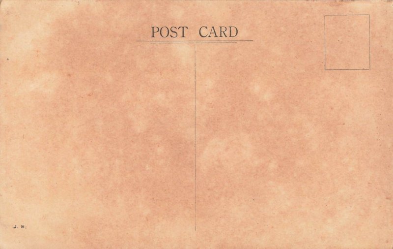 Vintage Koala Bear Australia in Tree Postcard