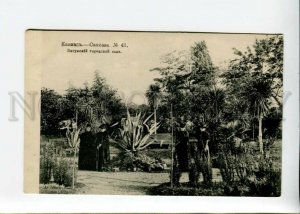 3171150 Adjara Georgia BATUMI Garden CAUCASUS vintage 1906 PC