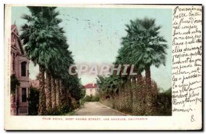 Postcard Old Palm Drive West Adams Street Los Angeles California