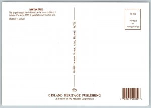 Huge Banyan Tree, Lahaina, Maui, Hawaii - Postcard 