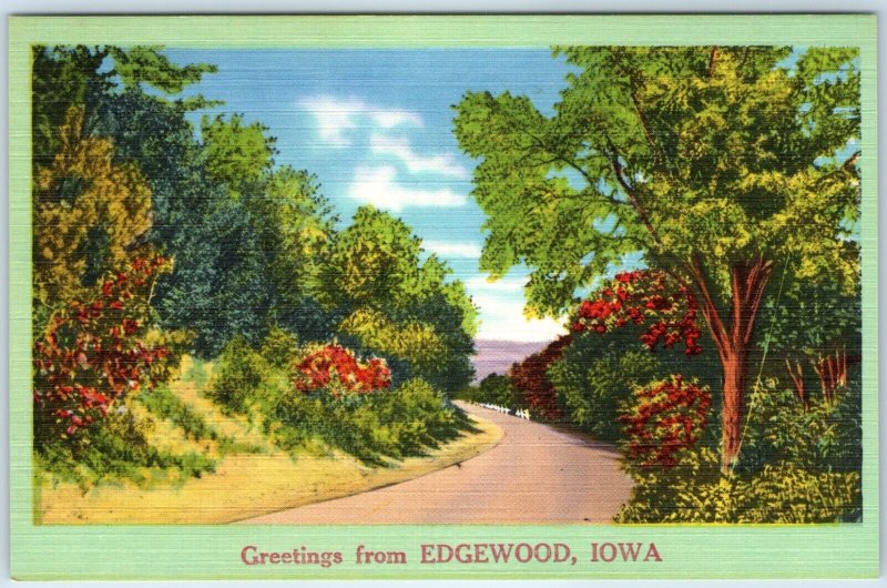 x9 LOT c1940s Edgewood, IA Greetings from NYCE Landscape Linen Postcards A257