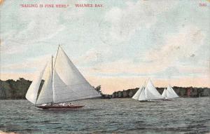 Maumee Bay Sailing Scenic View Antique Postcard J76262