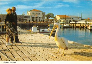 Lot 1   Cyprus  harbour  paphos pelican