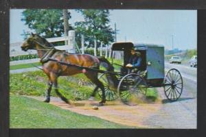 Amish Buggy Postcard 