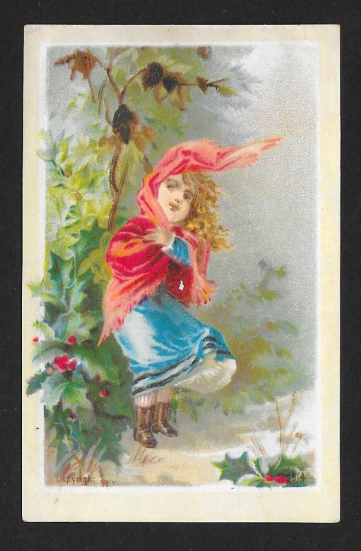 VICTORIAN TRADE CARDS (3) Stock Cards Girl in Garden Views