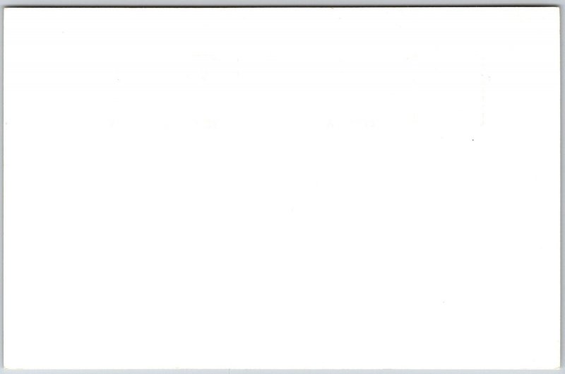 Russian Hill San Francisco California Mount Tamalpais RPPC Real Photo Postcard