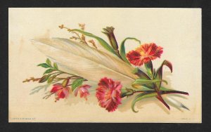 VICTORIAN TRADE CARDS (3) Flowers & Feathers Series 30