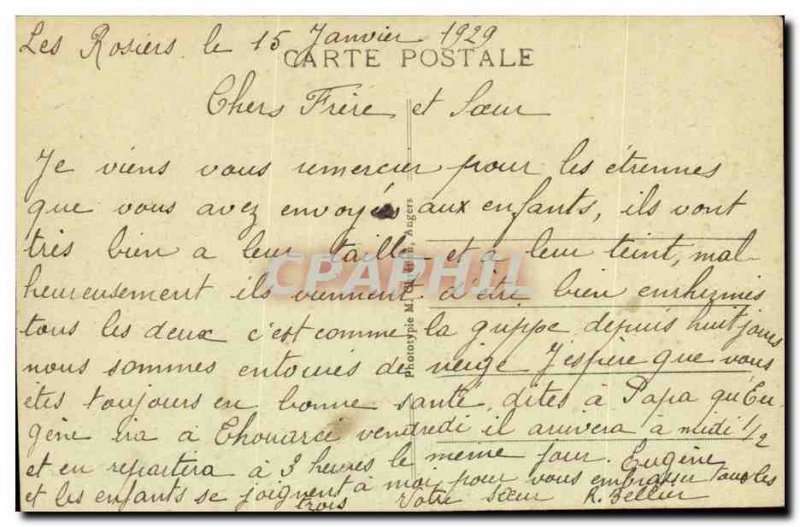 Gennes- Panorama over the Loire to the Old Post Card Roses