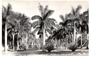 RPPC Postcard Palm Way Old Cars Palm Beach Florida