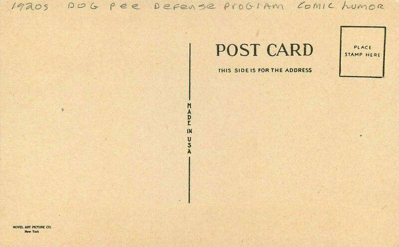 Artist impression Comic Humor Dog Pee defense program 1920s Postcard 2833