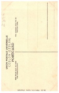 Ceylon Road to Cinnamon Gardens