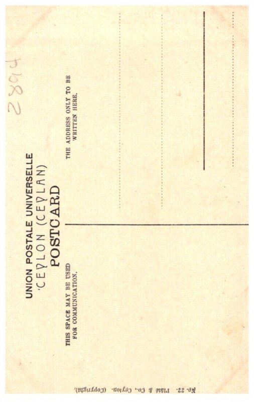 Ceylon Road to Cinnamon Gardens