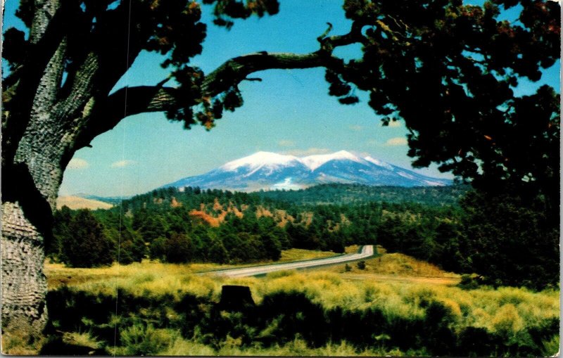 Interstate Hwy 40 Arizona Snowcapped Mountain San Francisco Peaks Postcard VTG 