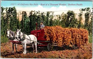 Postcard FARM SCENE State of California CA AK6551