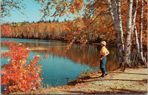 Windermere Cottages Stanhope Beach PEI PE Woman Autumn Vintage Postcard F76