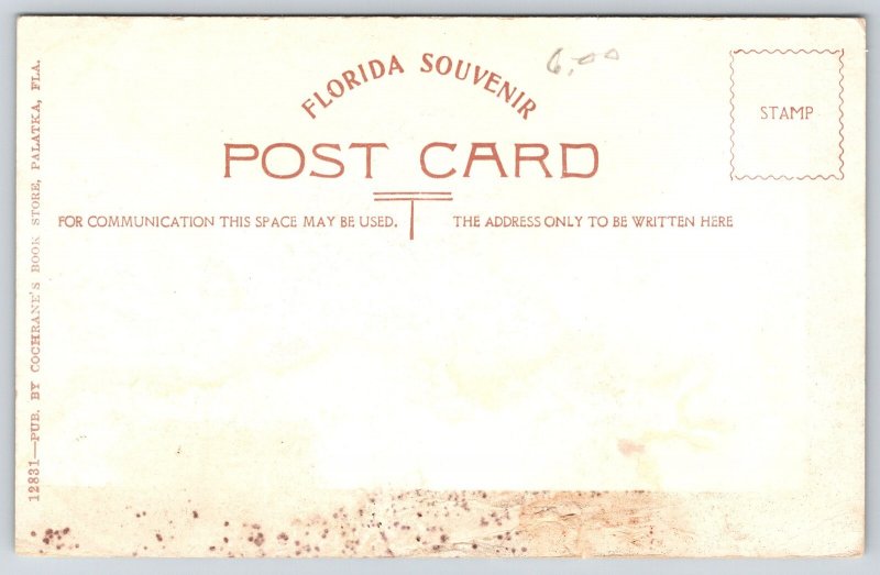 Florida Black Americana~Sugar Cane Mill~Mule Turns Wheel~Worker & Kids~c1910