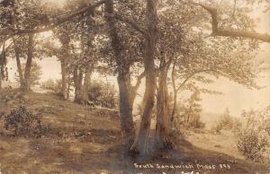 Sandwich Massachusetts Scenic Forest Real Photo Antique Postcard K107496