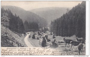 OBERHOF, Thuringia, Germany, PU-1904; Silbergraben B. Oberhof i. Th.