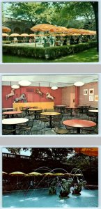 3 Postcards ART INSTITUTE of CHICAGO ~ McKinlock Court, Picnic Room c1950s