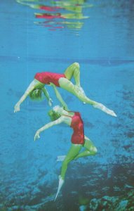 Weeki Wachee Mermaids Performing Underwater Adagio Postcard
