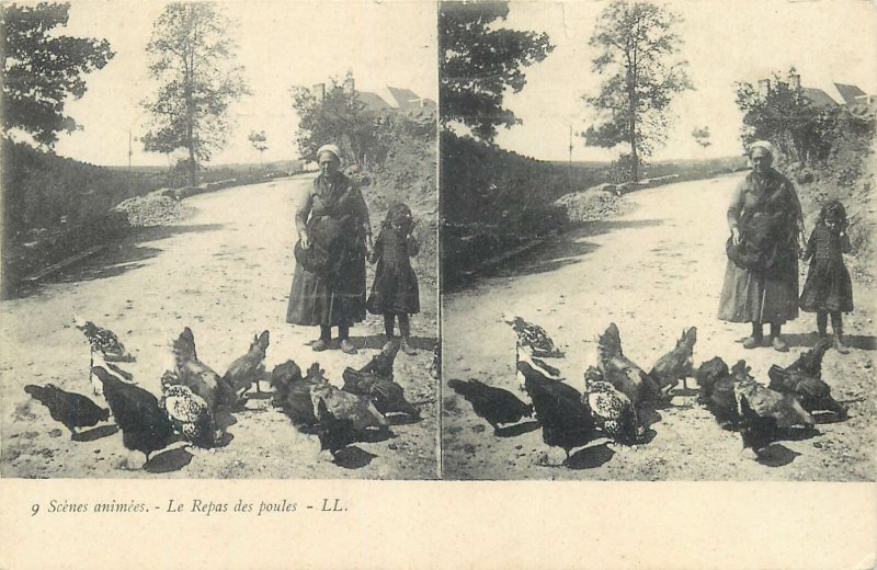 Postcard Stereographic image life scene birds feeding