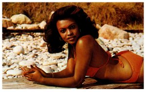 Sexy Girl Sunbathing in New England