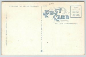 Polk Pennsylvania~IOOF Hall 680~Houses Behind~1920s Postcard