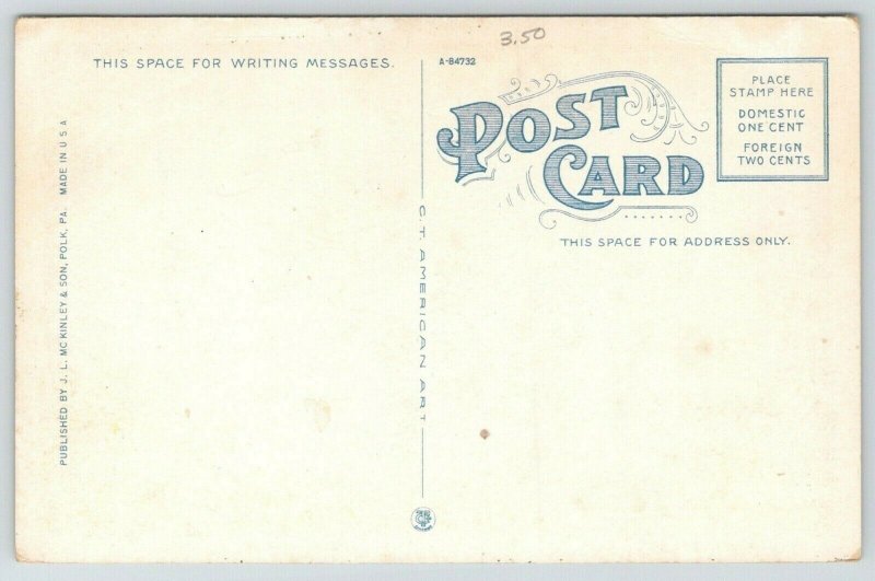 Polk Pennsylvania~IOOF Hall 680~Houses Behind~1920s Postcard