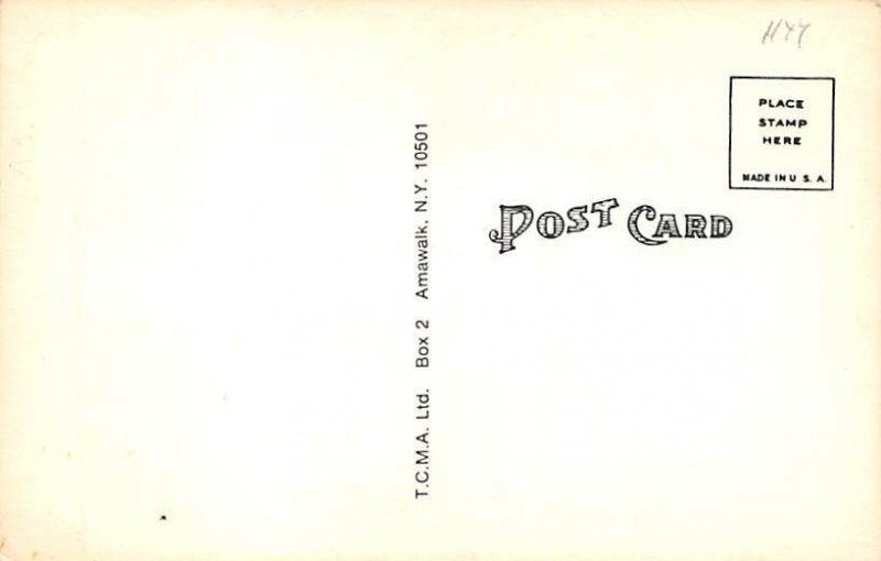 John Henry Lloyd Baseball Player View Postcard Backing 