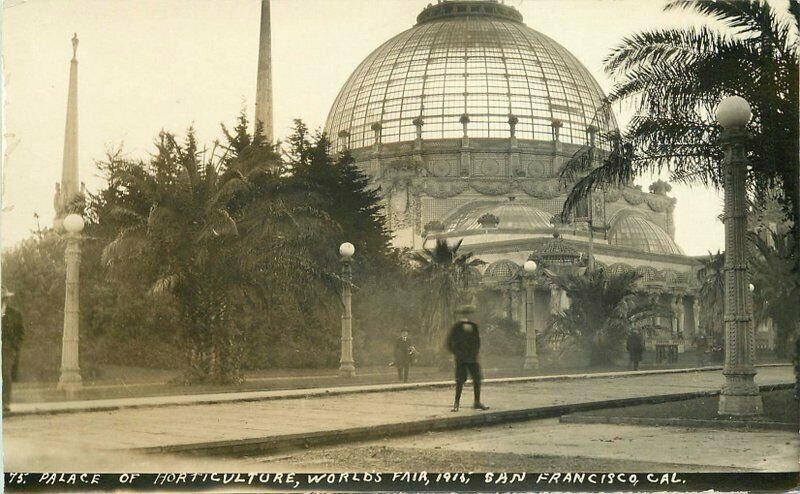 1915 Palace Horticulture World's Fair San Francisco California RPPC Photo 9854