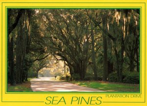 Sea Pines,Platation Drive,Hilton Head Island,NC