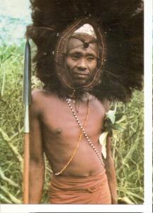 Postal (PostCard) 045939 : Guerrero Maasai con plumas de avestruz (Kenya)