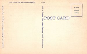 Vintage Postcard Spanish Bayonets White Flower Grown St. Petersburg Florida FL