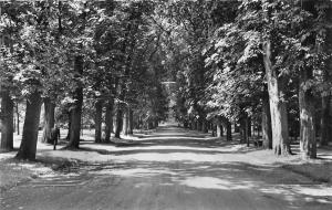 BG7380 bad driburg alte allee  germany CPSM 14x9cm