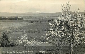 Medford Oregon Rogue Orchard Farms Pear Blossoms 1 RPPC Postcard 25-11230