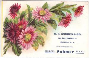 D.S.Andrus & Co., Sohmer Piano, Elmira NY