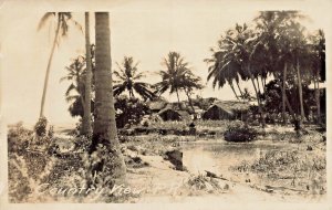 Puerto Rico PR~Country view~1920s REAL PHOTO POSTCARD