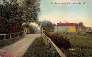 City Farm South Park Rochester New York 1910c postcard